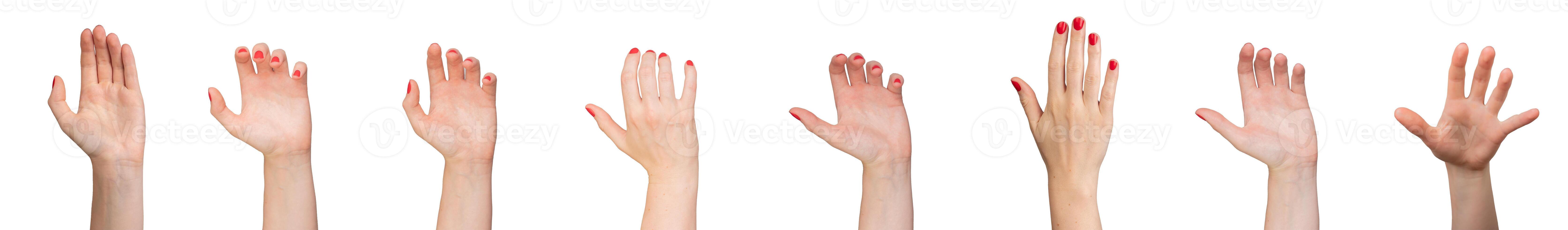 Hands holding, catching, grasping something, gestures set isolated on white background. photo