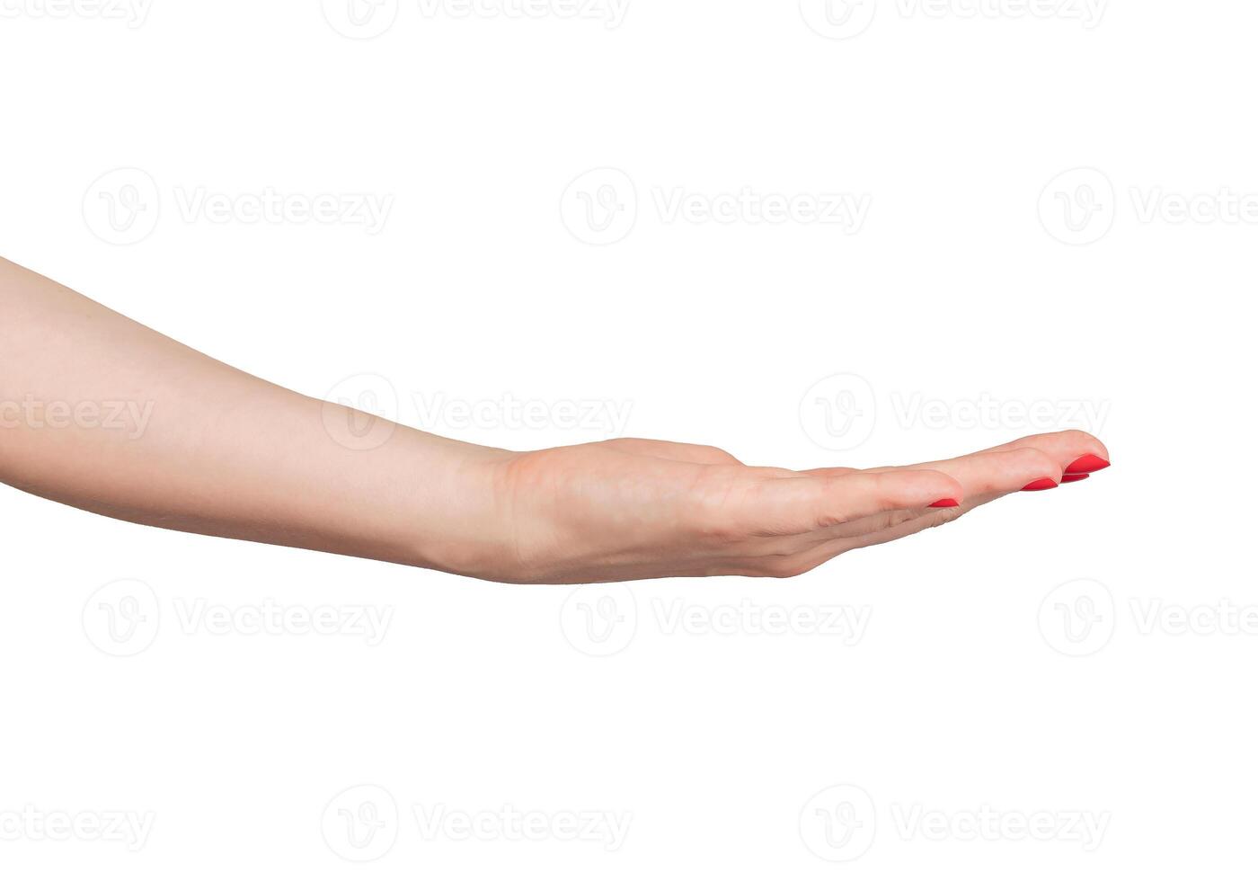 Outstretched hand with an empty palm, symbolizing charity and support. Elegant gesture, isolated on photo