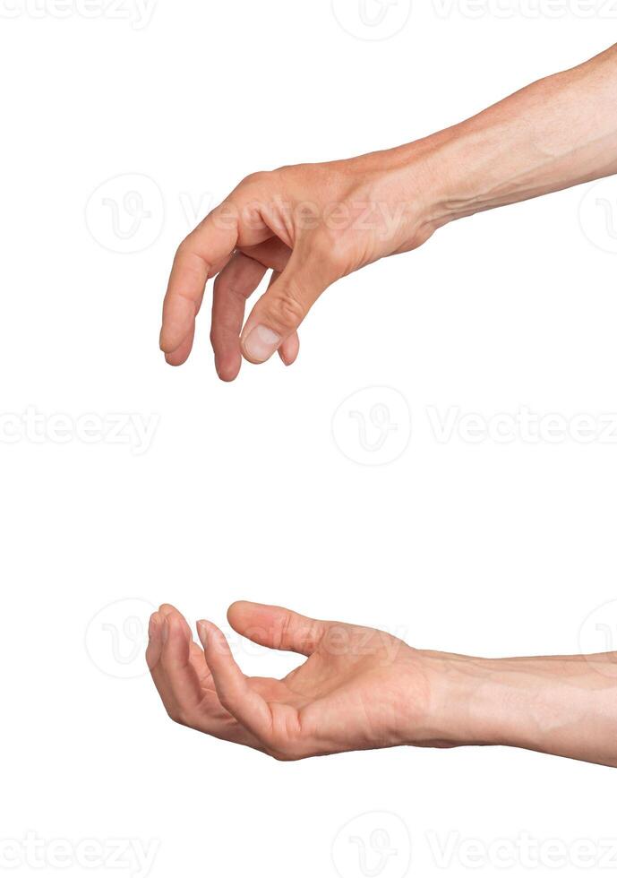 Hand giving, and palm fingers taking and getting isolated on white background photo