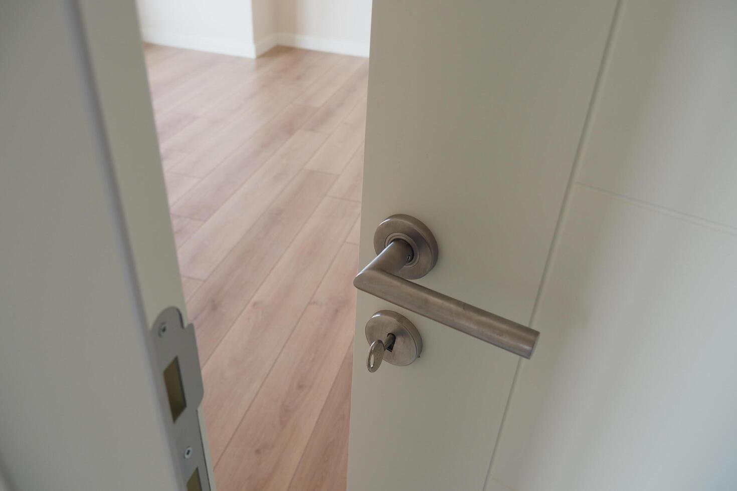 open door concept with Door handle and blur interior room background, photo