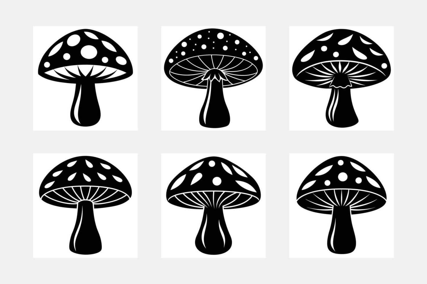 Detailed Set of Mushroom Illustrations vector