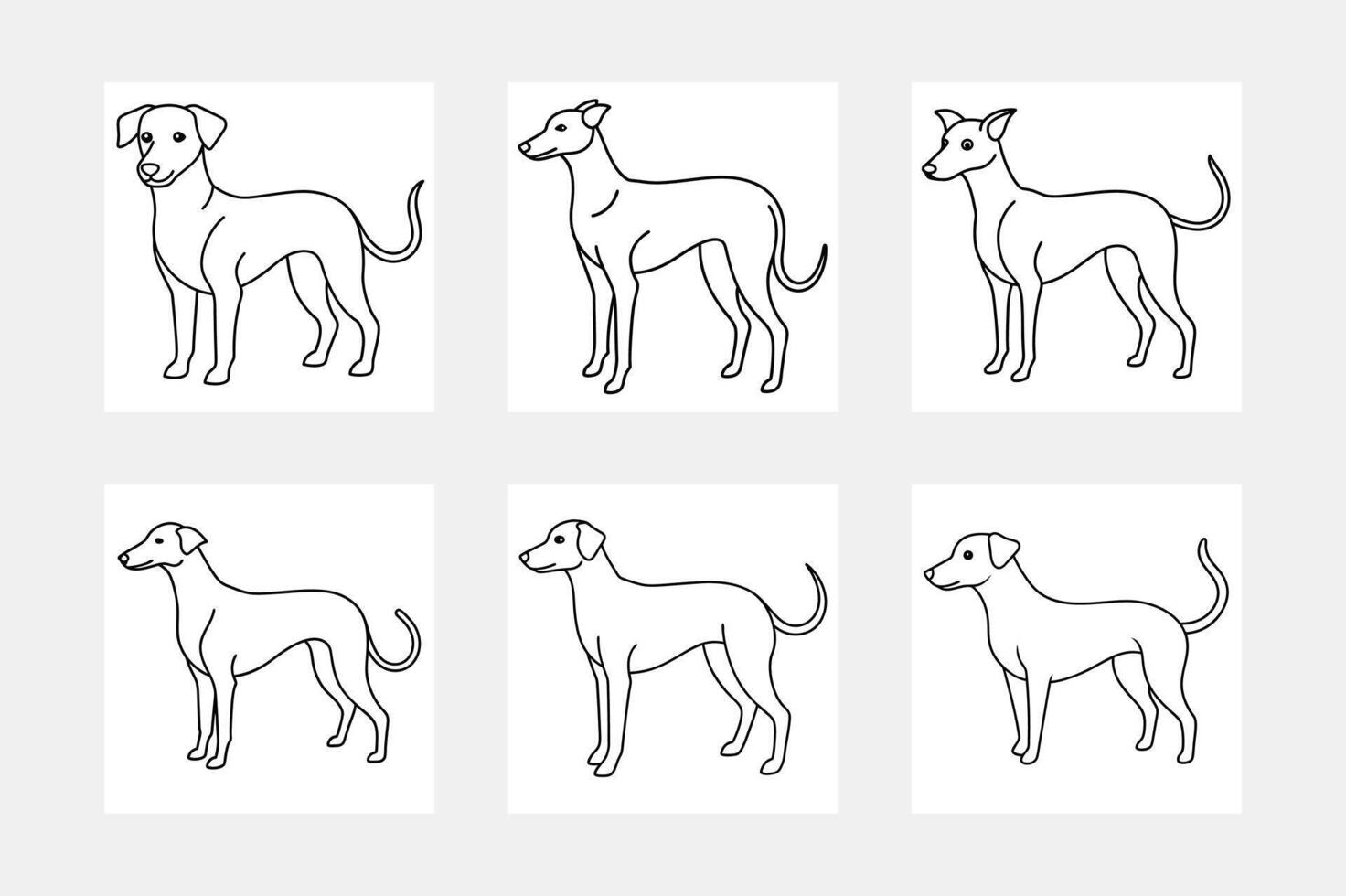 Affordable Dog Line Art Set Illustrations vector