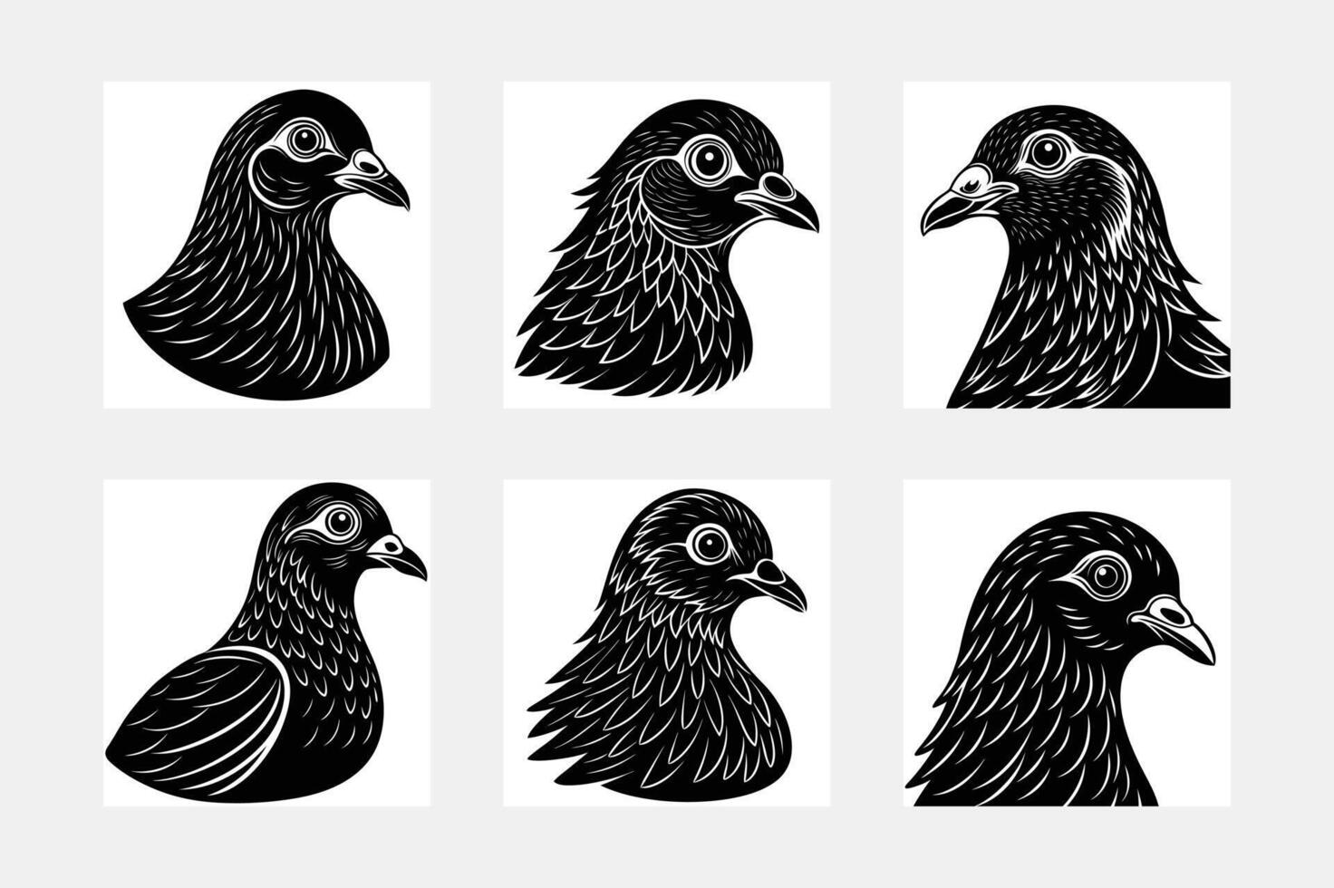 Elegant pigeon set artwork patterns vector