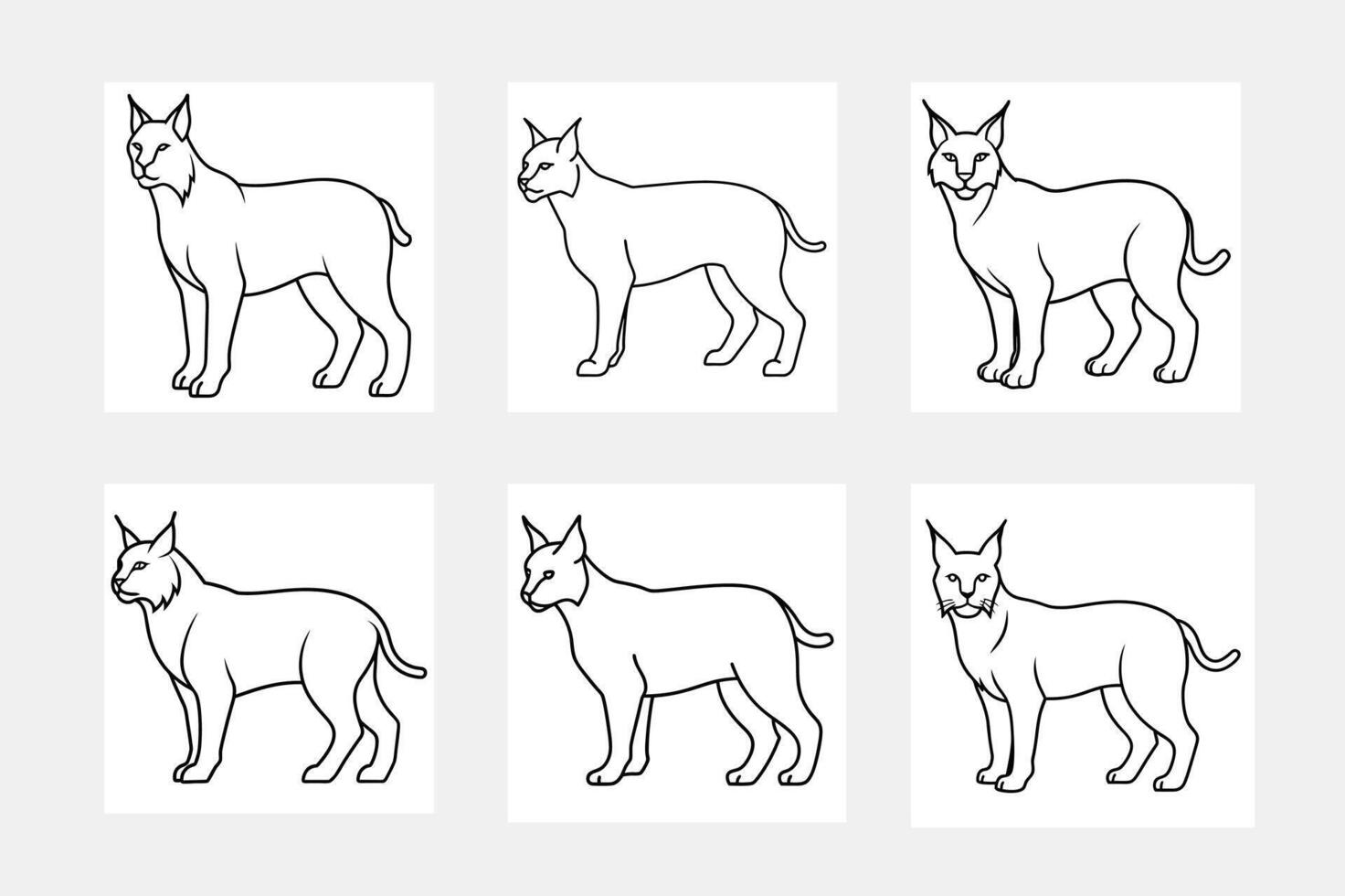 Lynx line art illustration set for digital artists vector