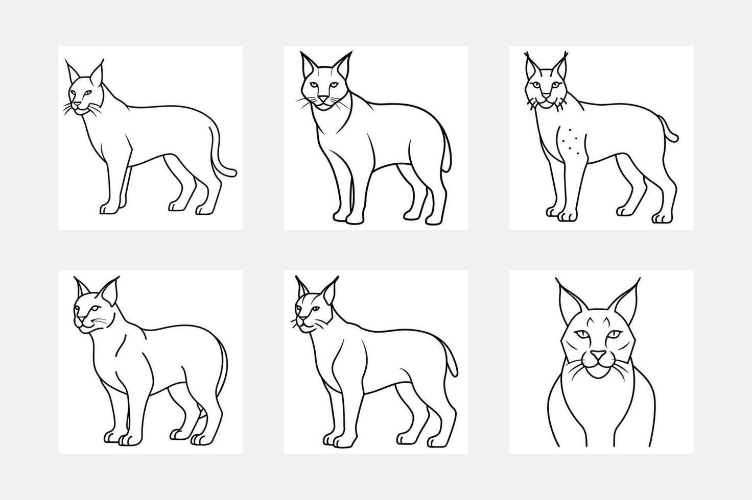 Lynx line art illustration set for creative projects vector