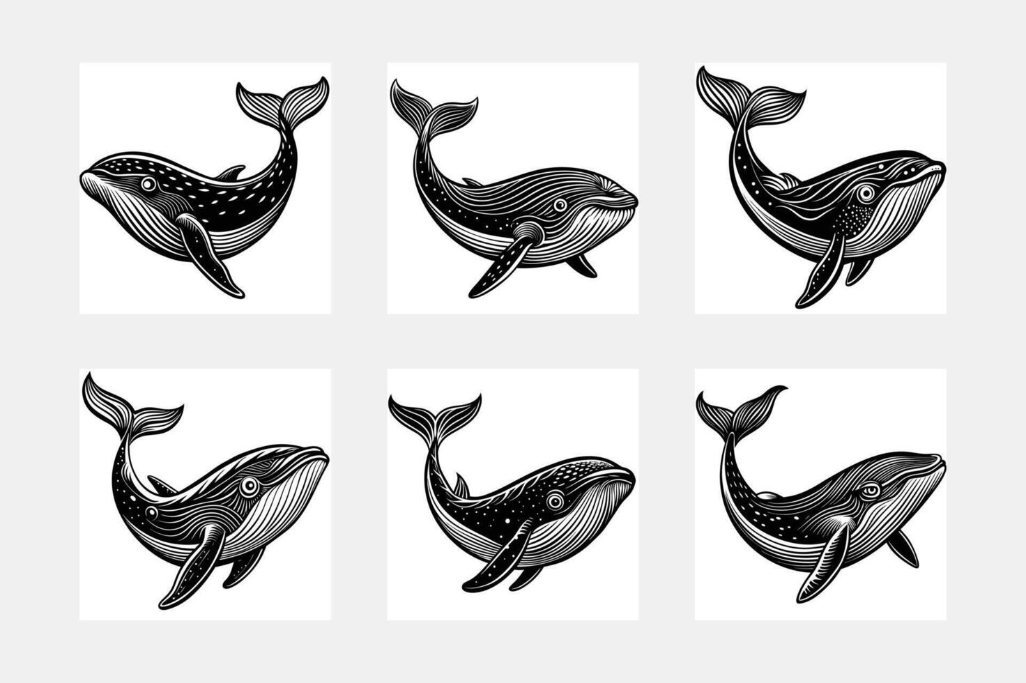 Orca icon and symbol vector