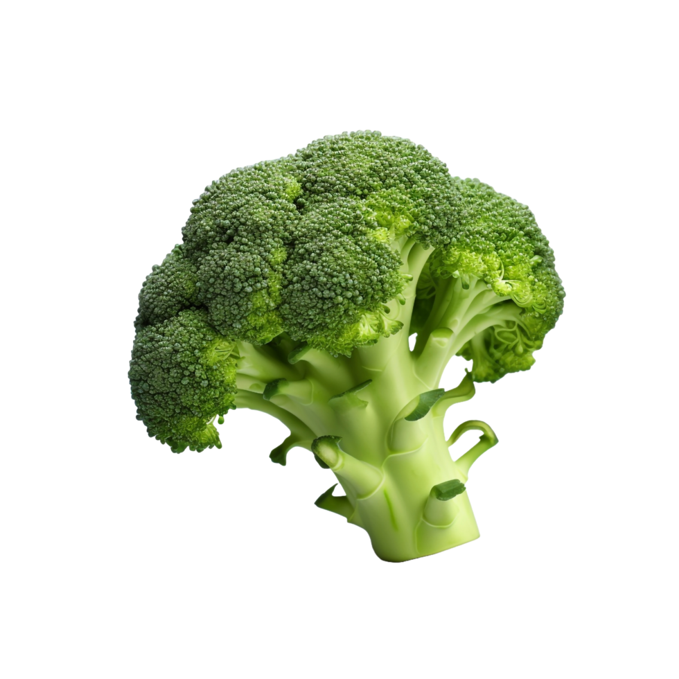A broccoli 3d isolated on transparent background png