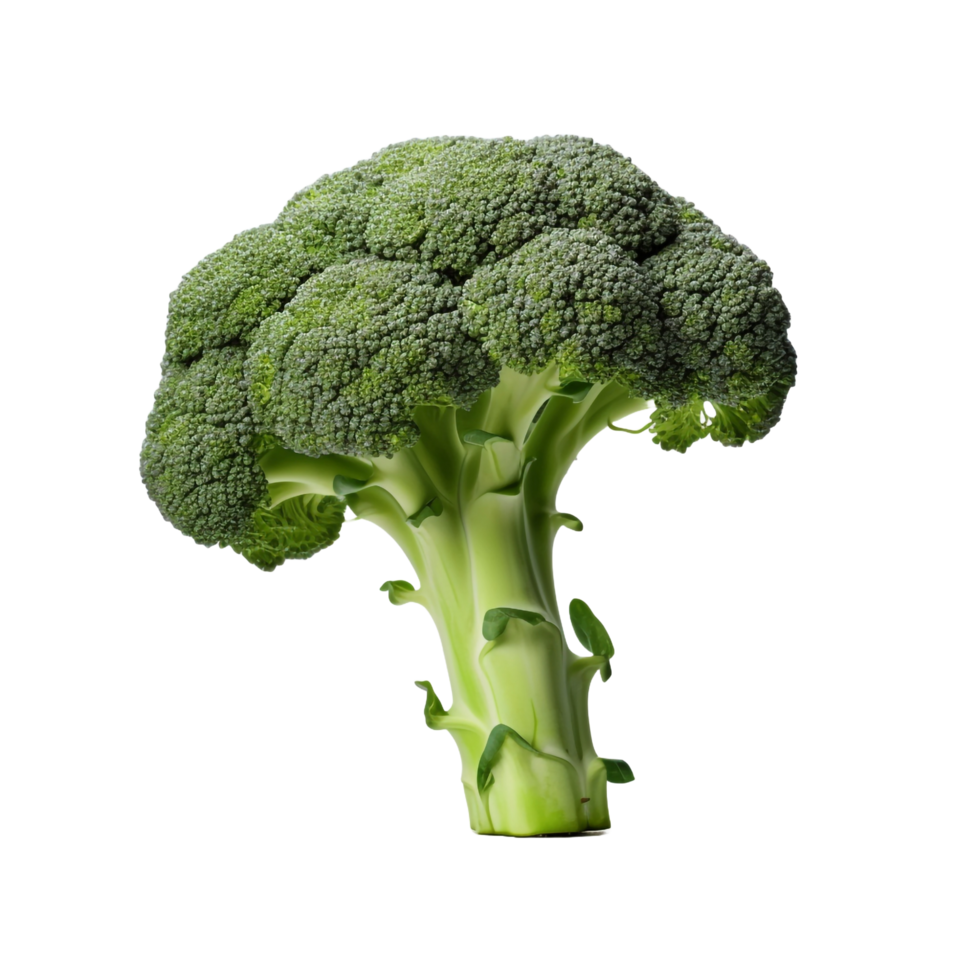A broccoli 3d isolated on transparent background png