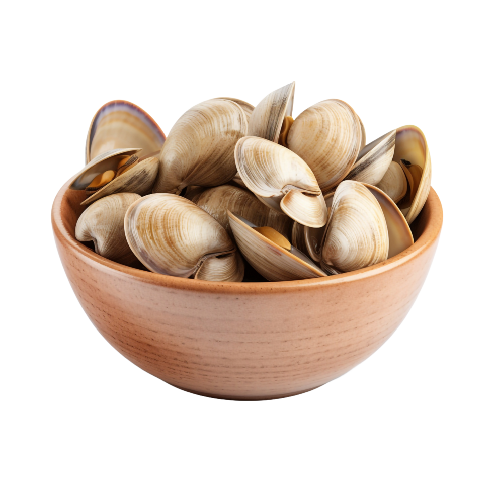 A bowl of clams isolated on transparent background png