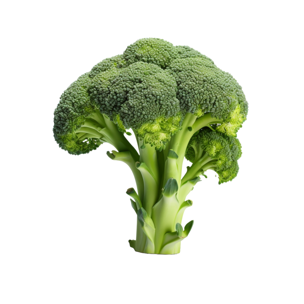 A broccoli 3d isolated on transparent background png
