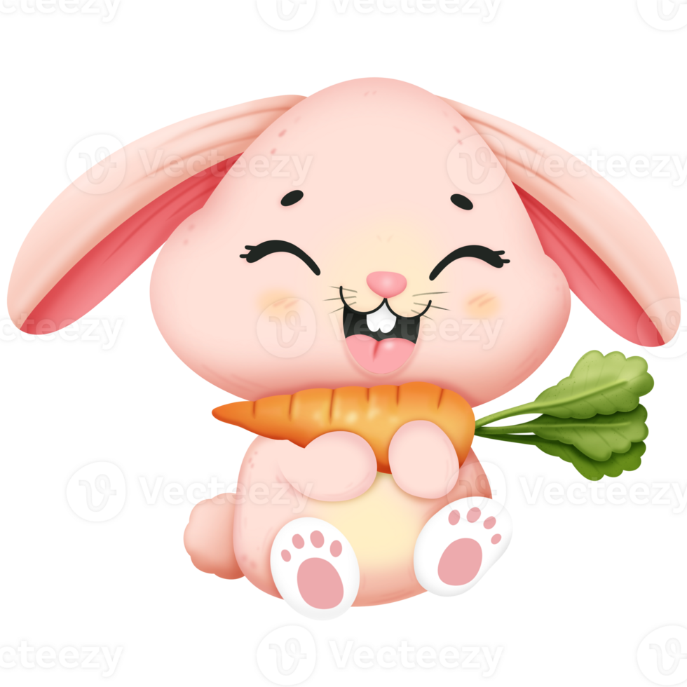 Cute cartoon bunny png