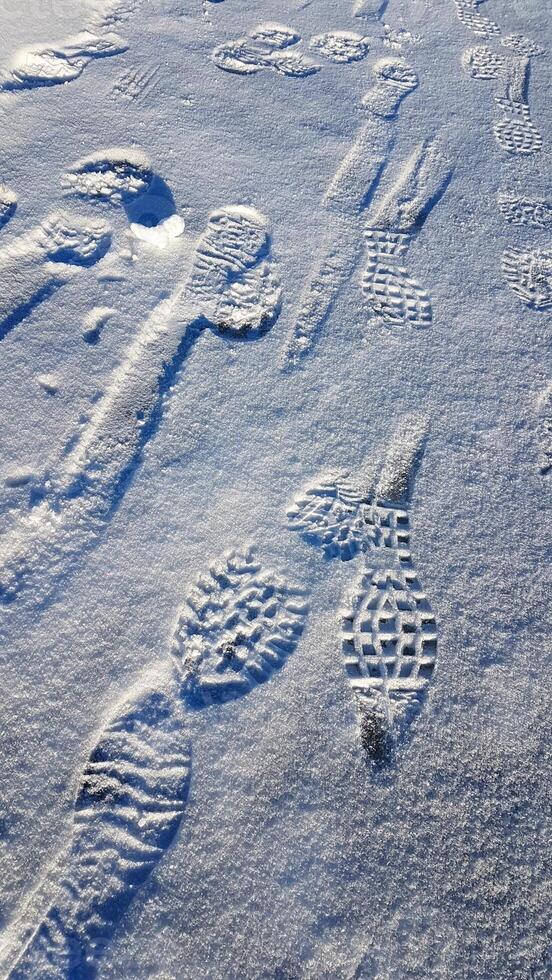 Footprints on a frozen lake in the mountains during a hike. photo