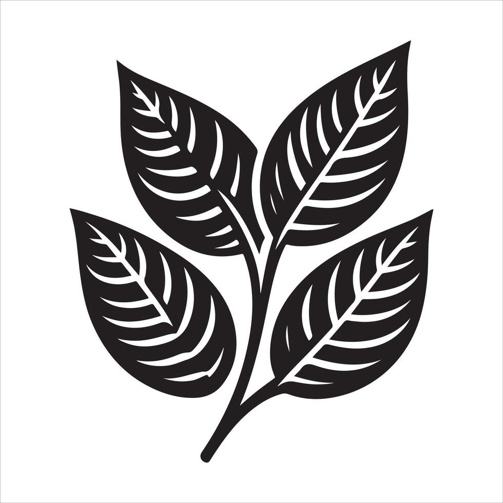Black leaves silhouettes and shadow isolated on white background. Betel leaves vector