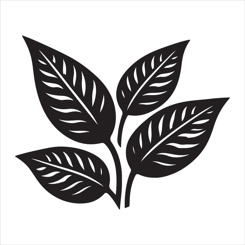 Black leaves silhouettes and shadow isolated on white background. Betel leaves vector