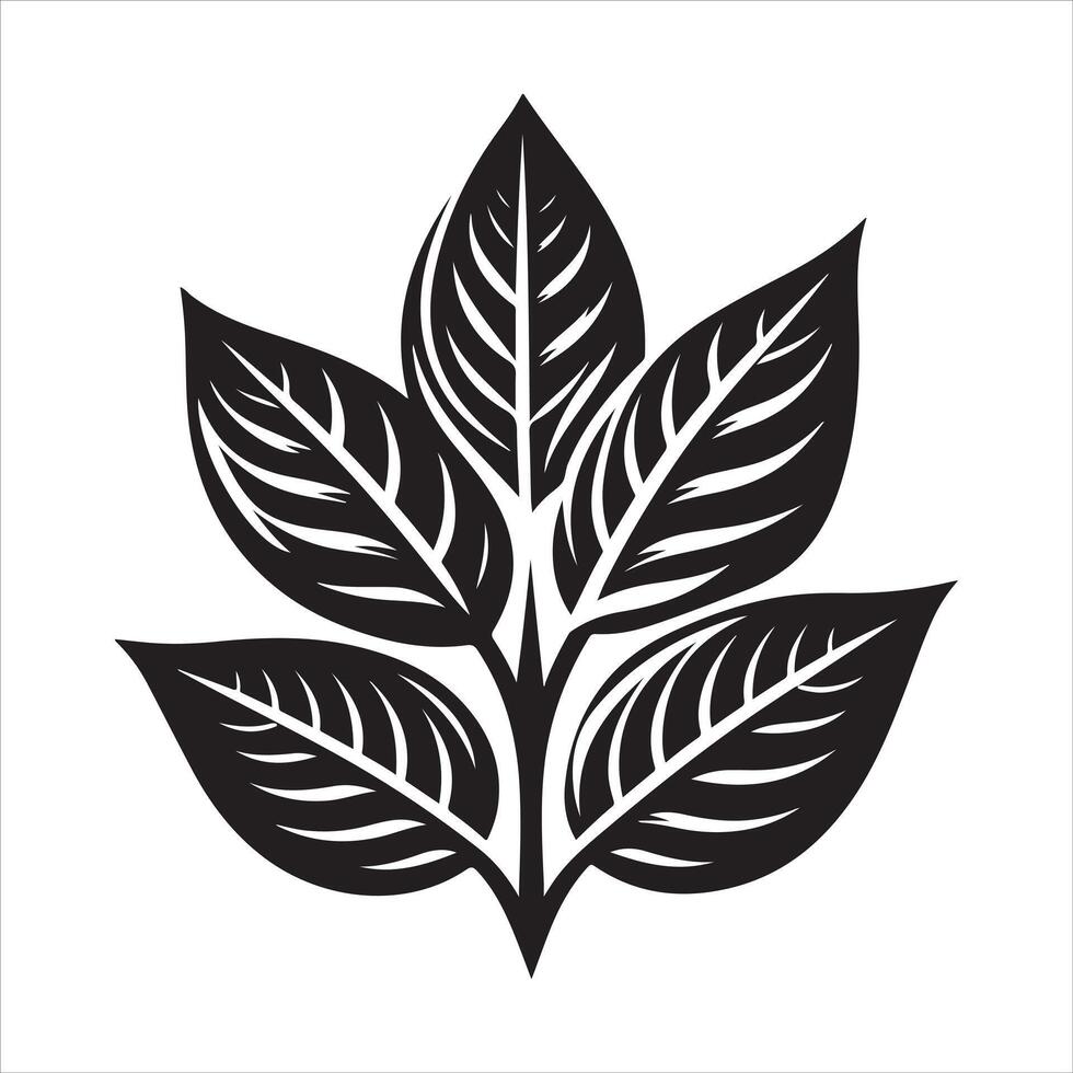 Black leaves silhouettes and shadow isolated on white background. Betel leaves vector