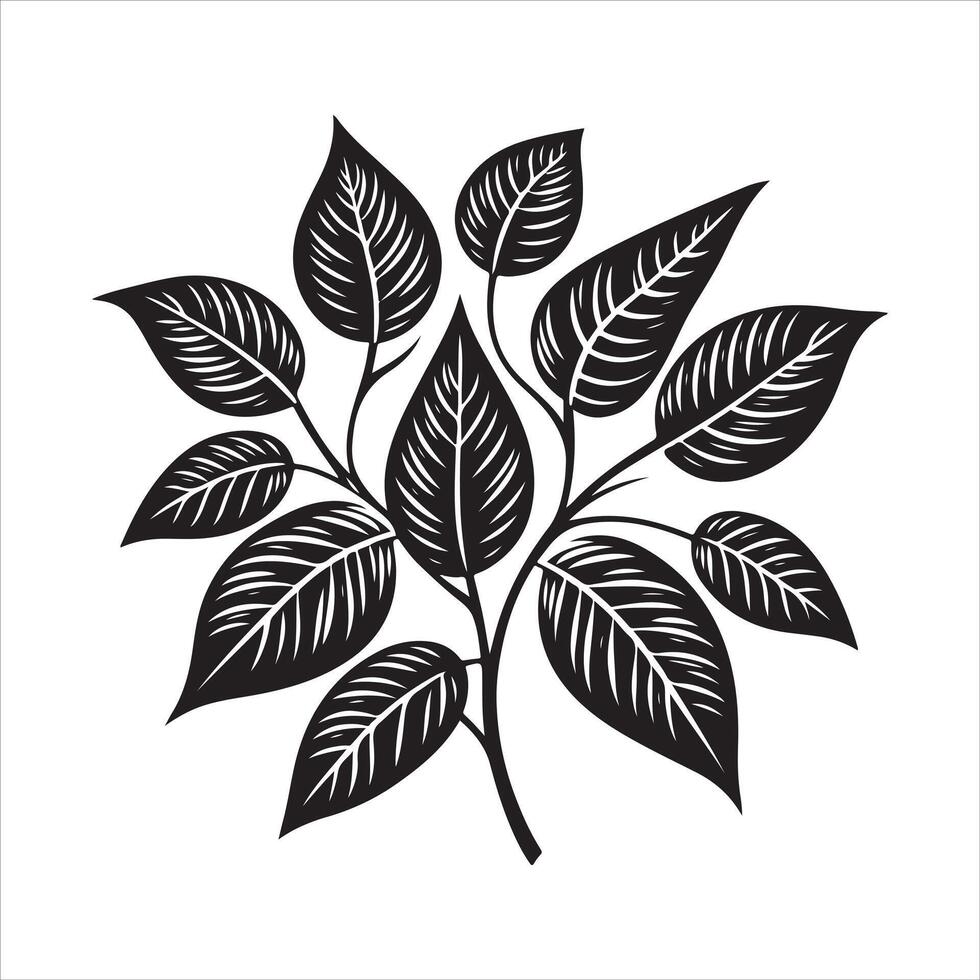 Black leaves silhouettes and shadow isolated on white background. Betel leaves vector