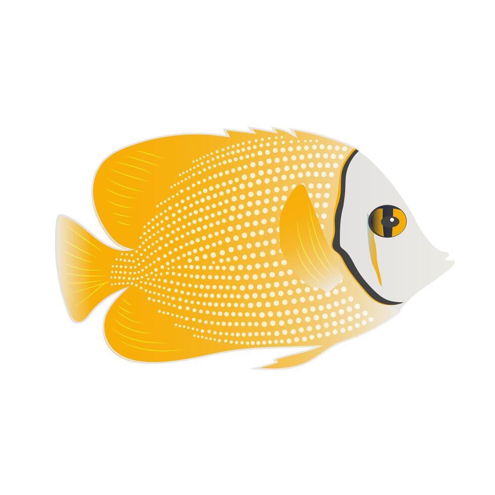 Yellow chaetodon butterflyfish isolated on white background. Cute ray-finned fish print. vector