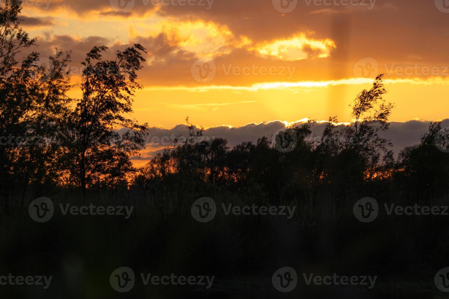 beautiful red evening sky at biesbosch national park photo