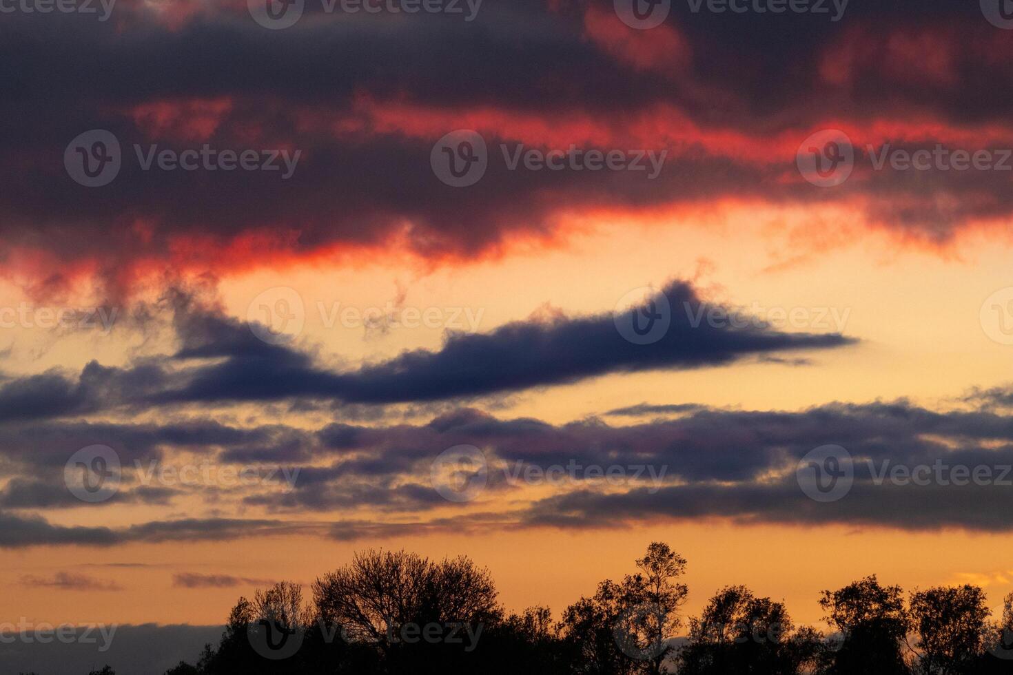beautiful evening sky with clouds shaped like a fighter jet photo