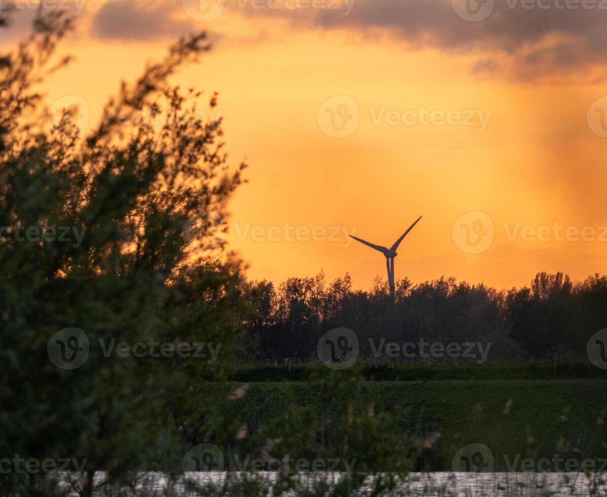 beautiful red evening sky at biesbosch national park photo
