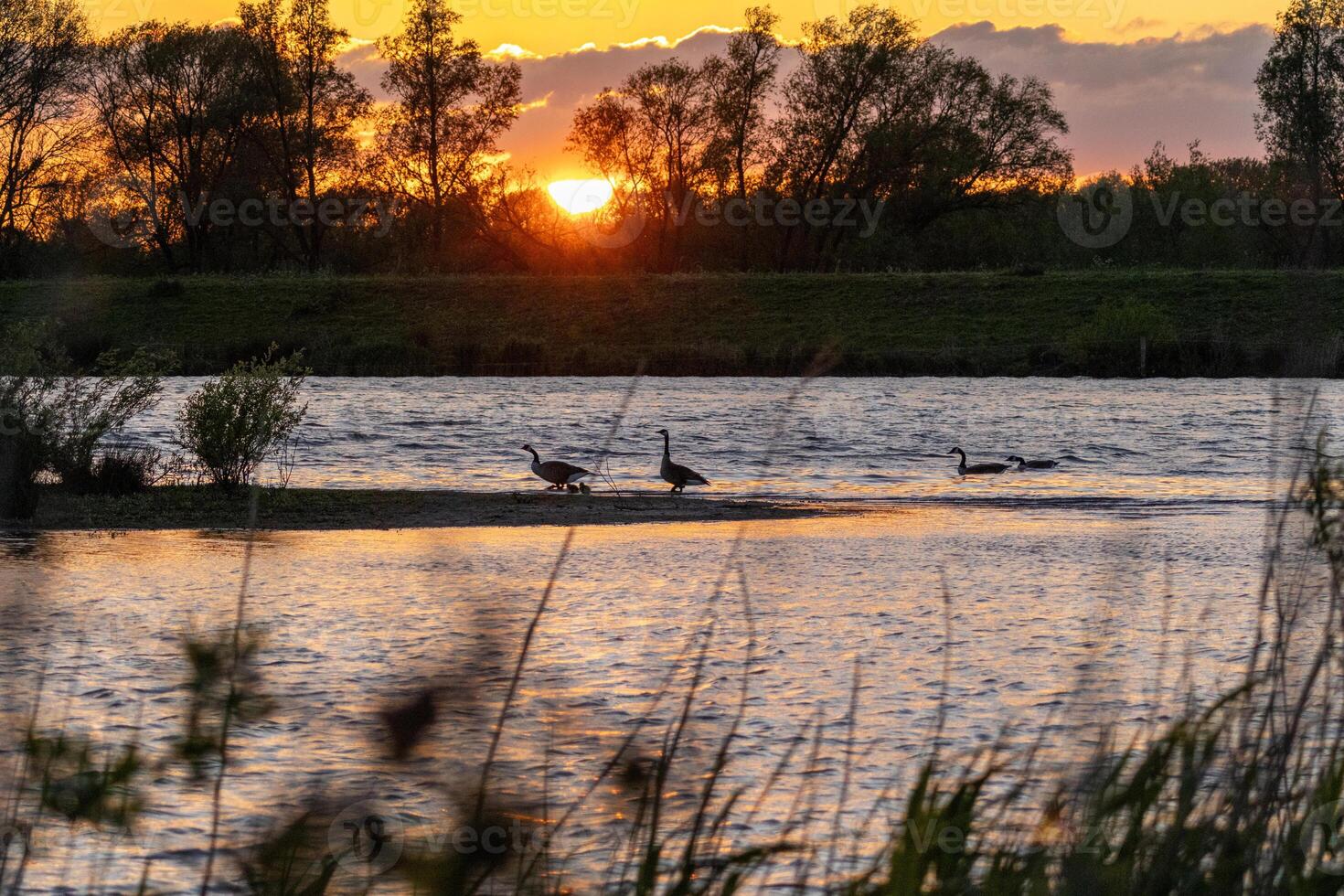 beautiful red evening sky at biesbosch national park photo