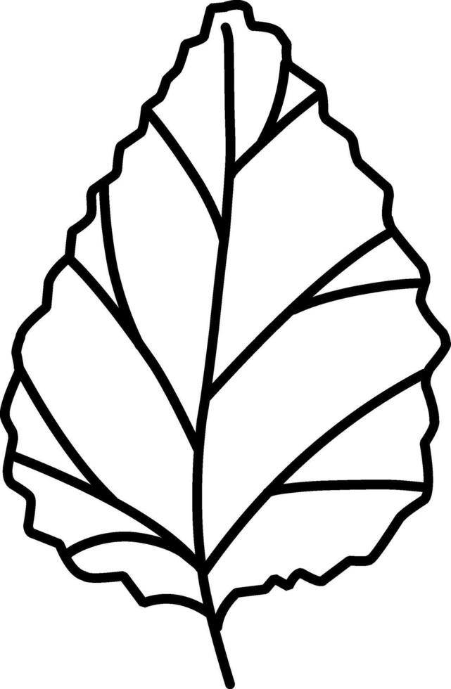 Detailed leaf illustration on white background, doodle illustration, leaves, foliage vector