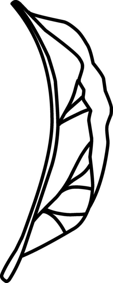 Detailed leaf illustration on white background, doodle illustration, leaves, foliage vector