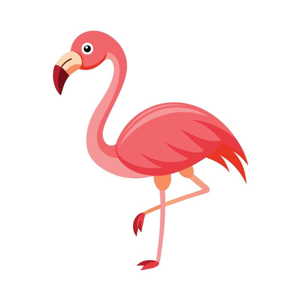 Standing Flamingo bird vector