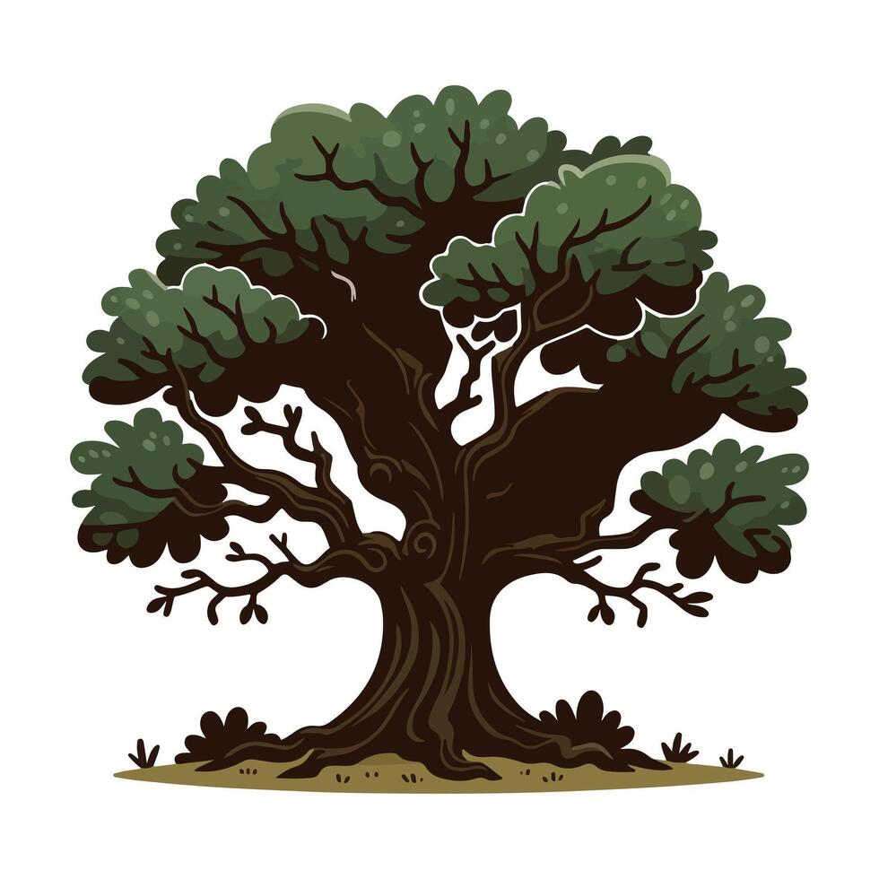 Green tree illustration with lush foliage and intricate branches on a white background vector