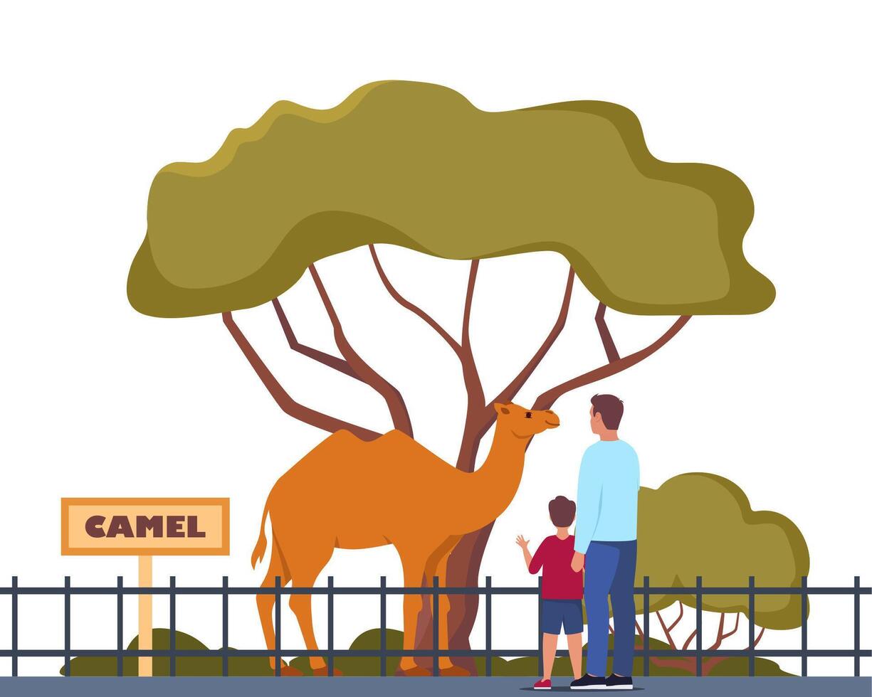 Camel on territory of wildlife zoo park surrounded by fence. Parent and kid watching animals in zoo park. illustration. vector