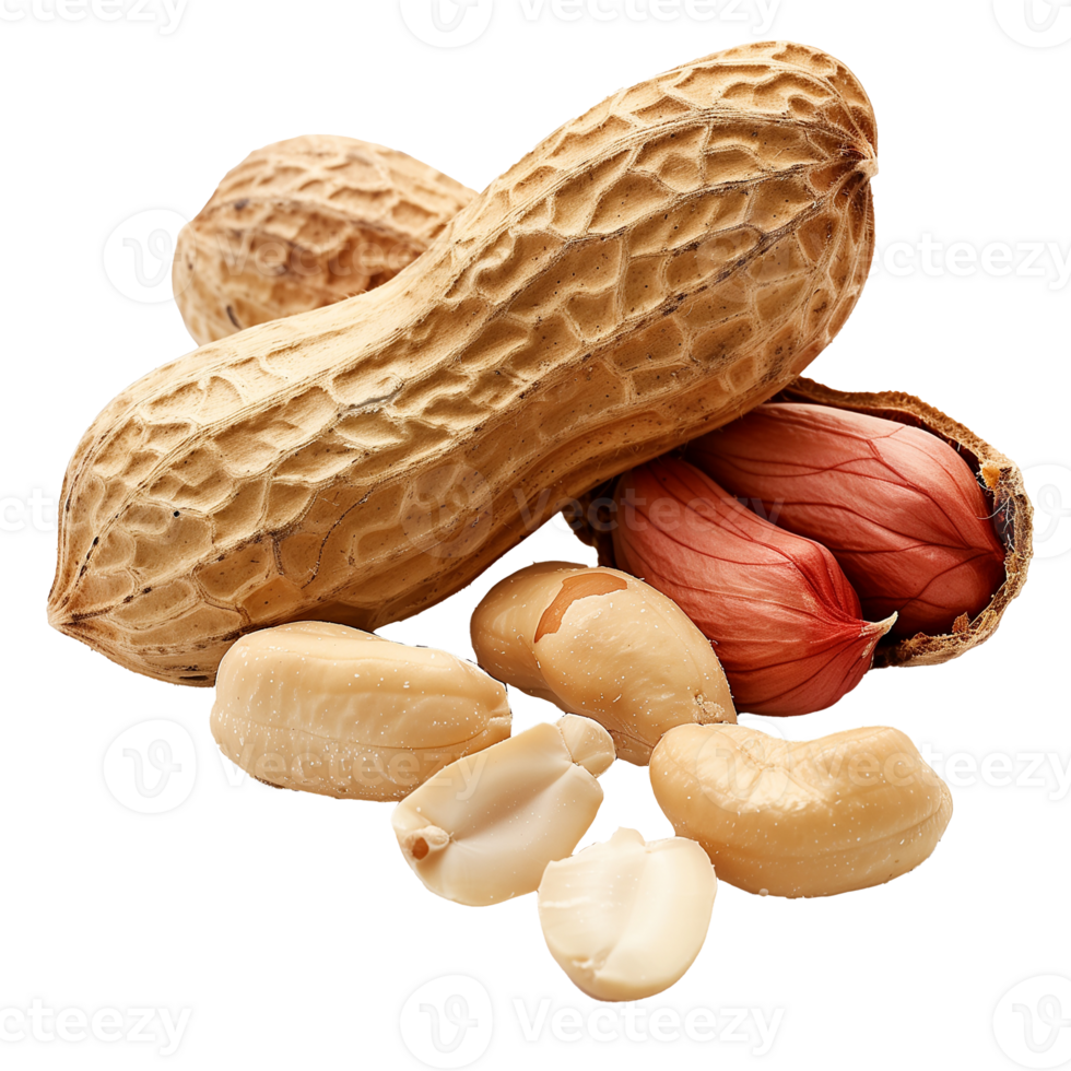 Peanut Isolated on Transparent Background png