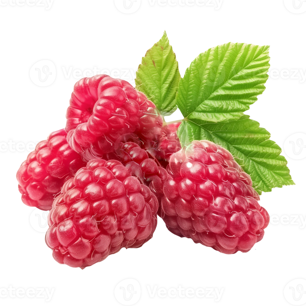 Raspberry Isolated on Transparent Background png