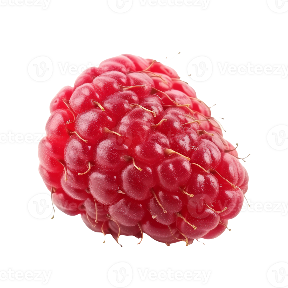 Raspberry Isolated on Transparent Background png