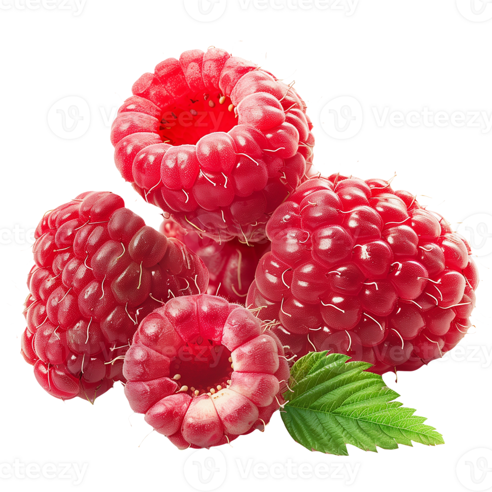 Raspberry Isolated on Transparent Background png