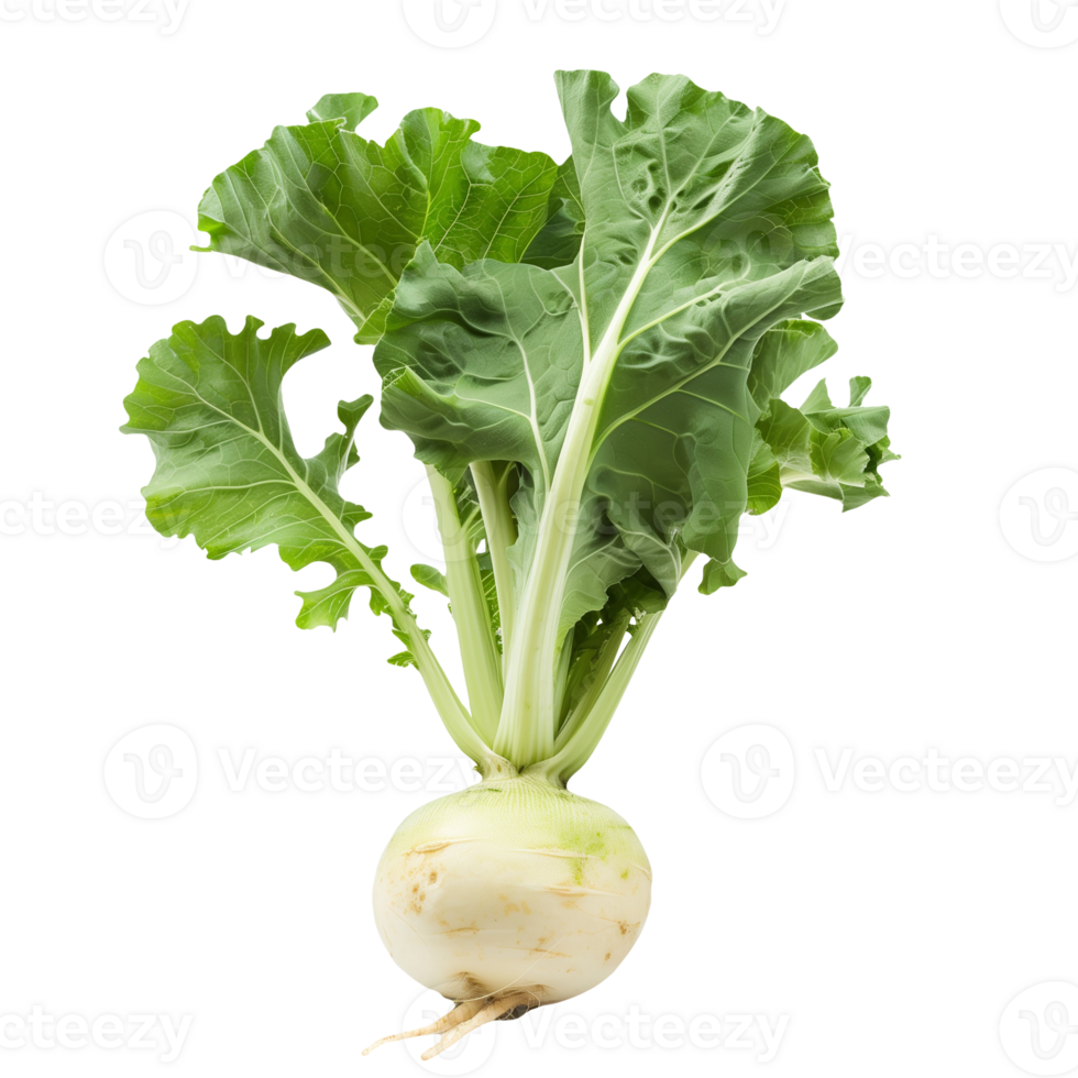 Turnip Ladys Finger Isolated on Transparent Background png