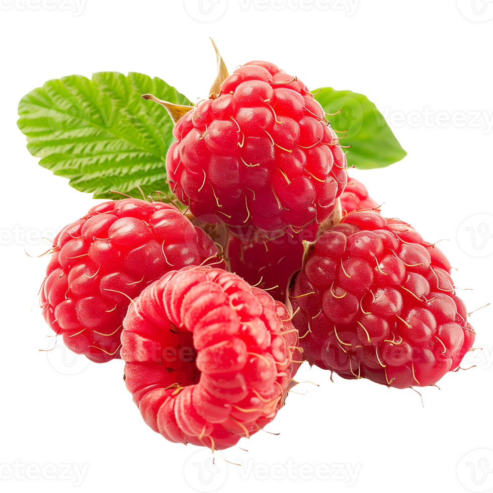 Raspberry Isolated on Transparent Background png