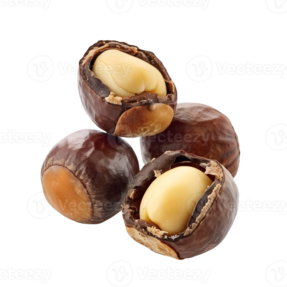 Macadamia Isolated on Transparent Background png