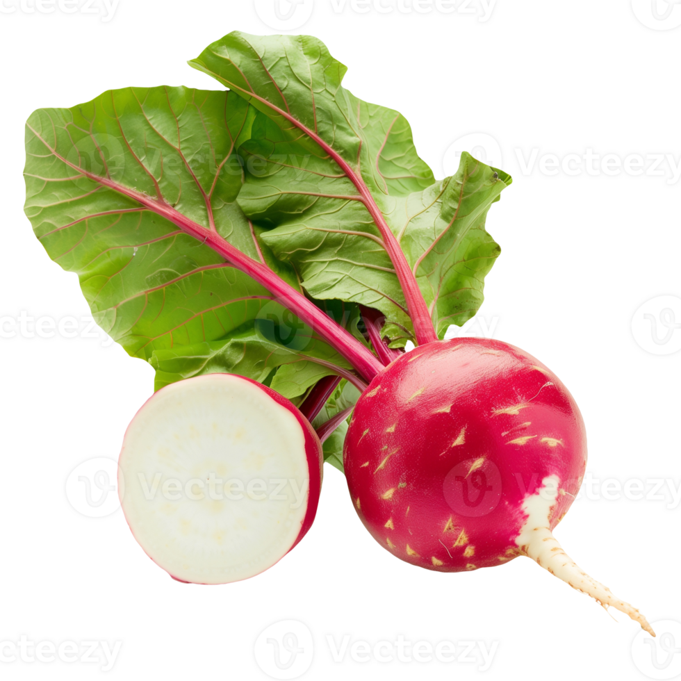 Radish with Leaf Isolated on Transparent Background png