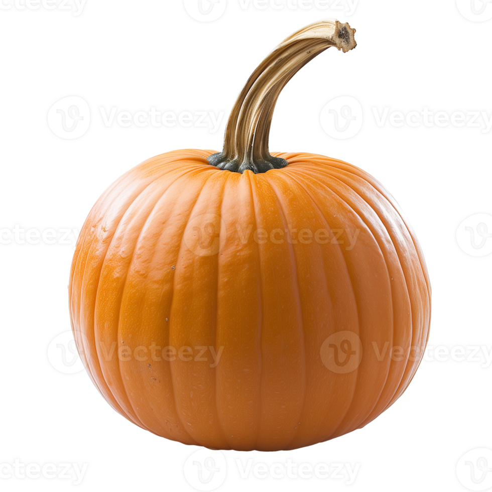 Pumpkin Isolated on Transparent Background png