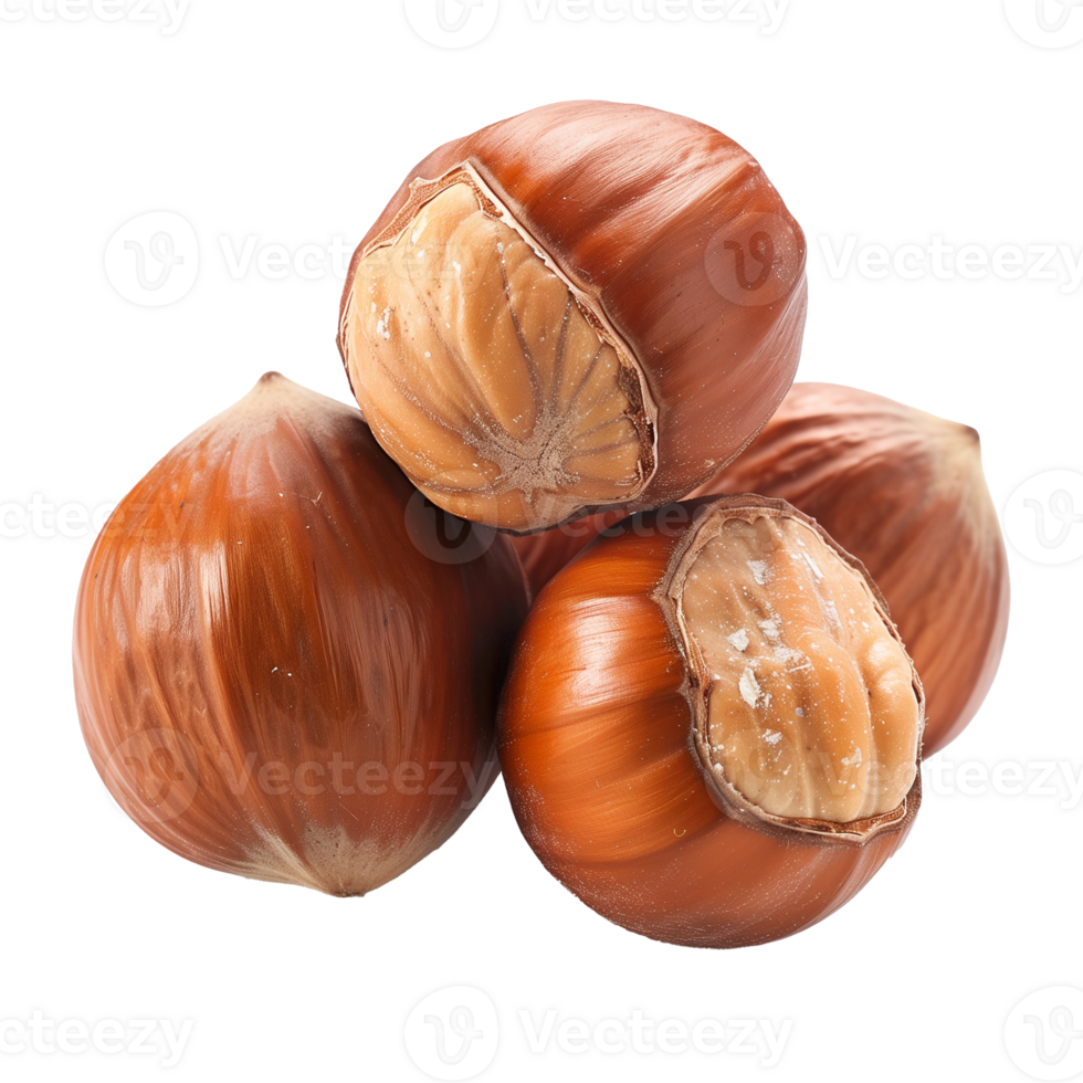 Kola Nut Isolated on Transparent Background png