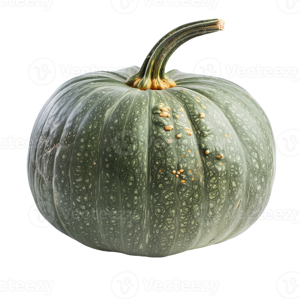 Green Pumpkin Isolated on Transparent Background png