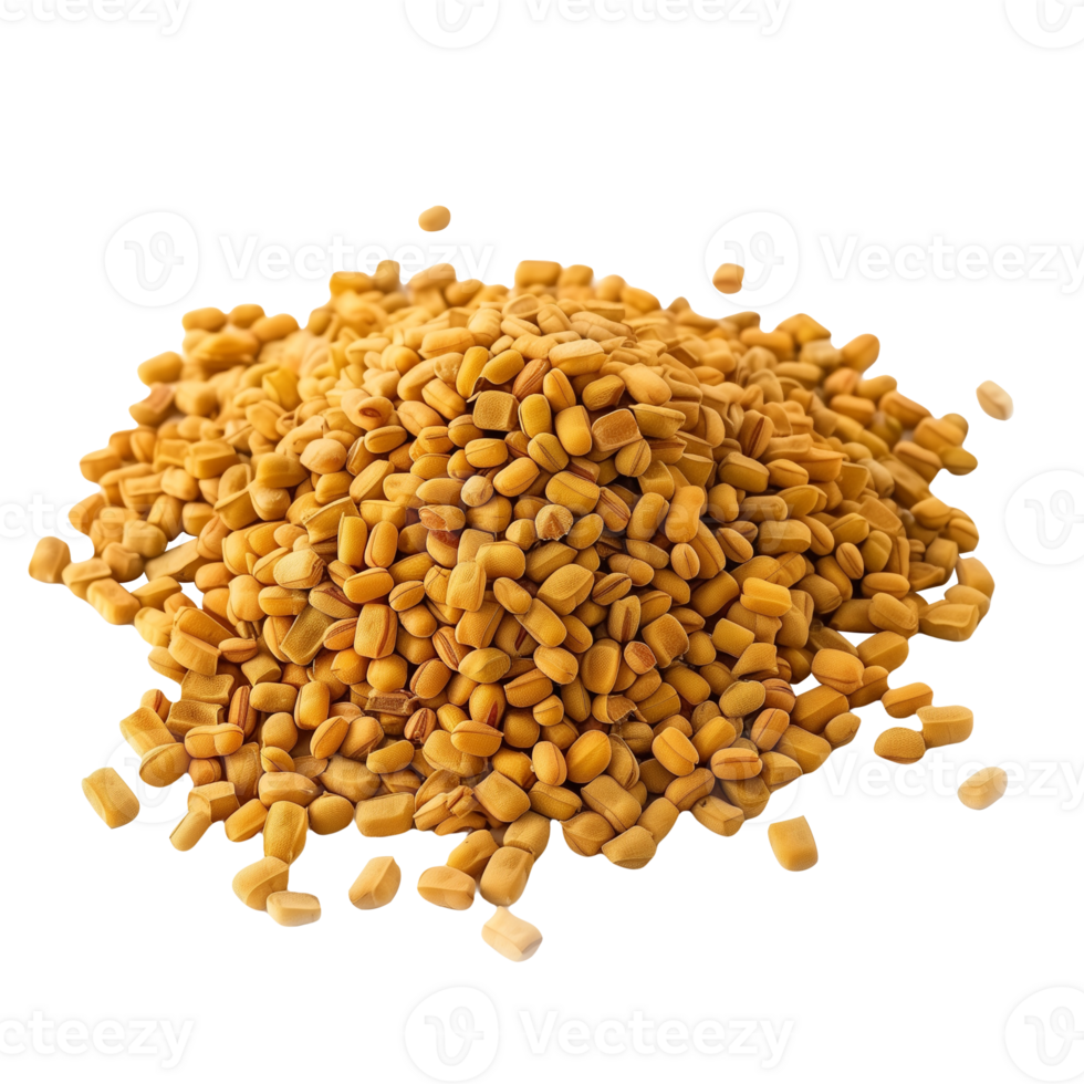 Fenugreek Isolated on Transparent Background png