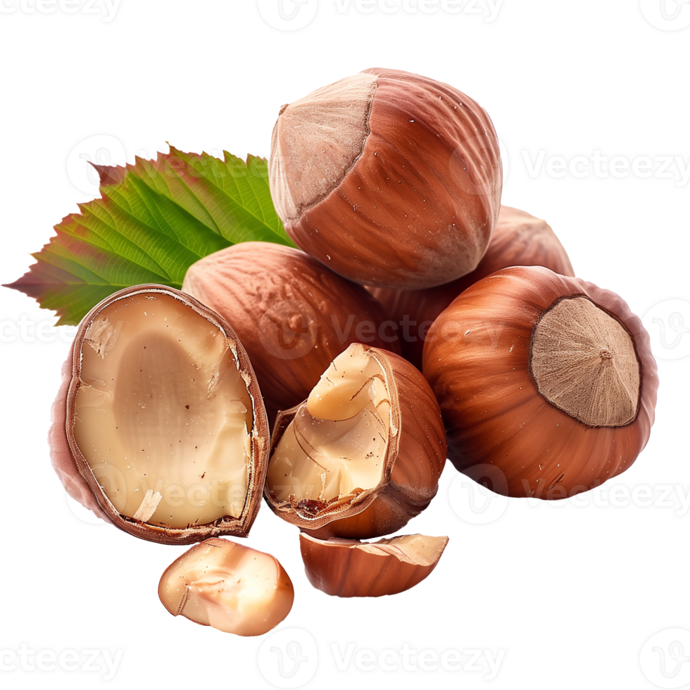 Kola Nut Isolated on Transparent Background png