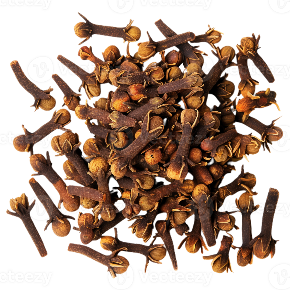 Cloves Isolated on Transparent Background png