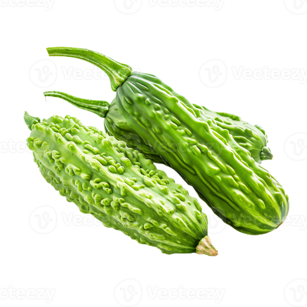 Bitter Gourd Isolated on Transparent Background png
