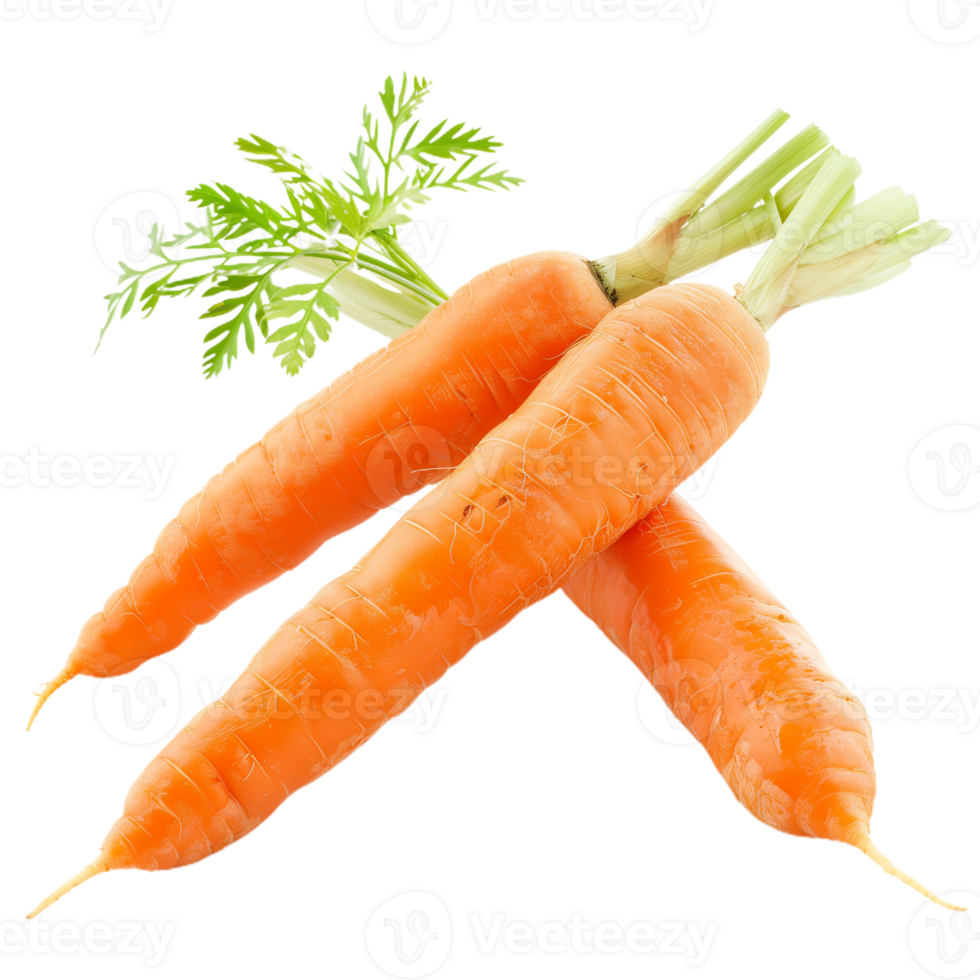 3d carrot Isolated on Transparent Background png