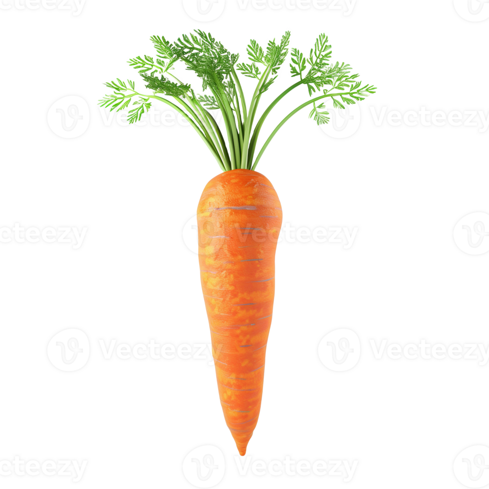 3d carrot Isolated on Transparent Background png