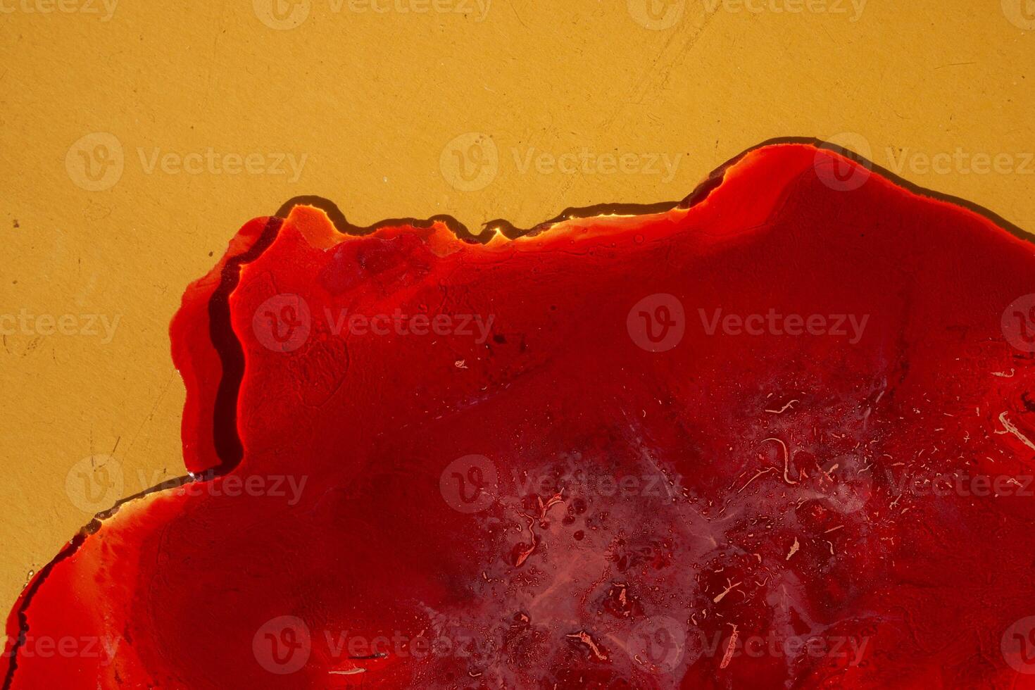 A part with a flat concept of a medical blood test with space to copy. Chemical laboratory analysis. Blood samples for cosmetology. Analysis in a chemical laboratory close-up. photo