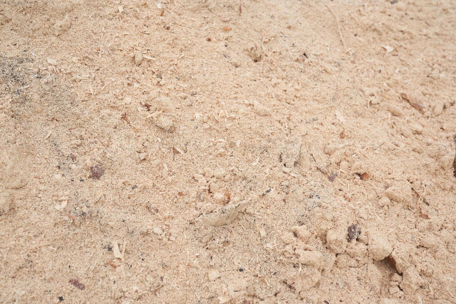 Sawdust stacked in a slide. The background is made of natural sawdust. Recycling of woodworking waste in the workshop. photo