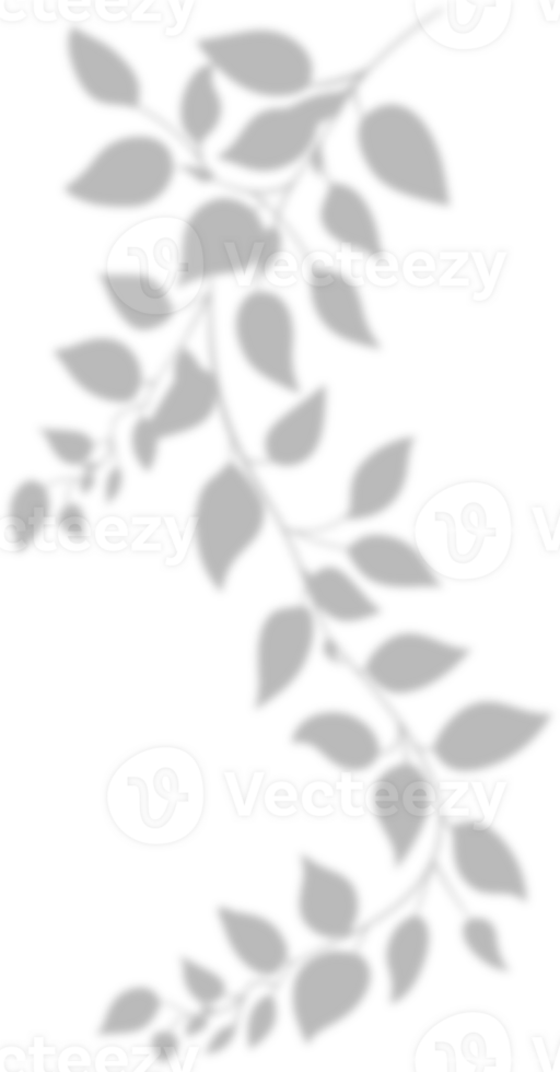 Realistic gray shadow of leaf overlay strands isolated on a transparent background. natural leaves shadow and summer design elements, top view, flat lay png